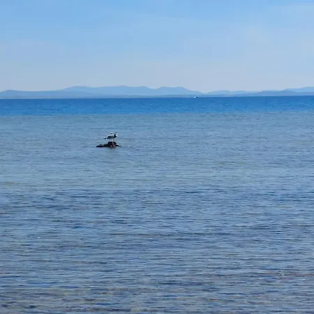 Domy2017 Privlaka (Zadar)