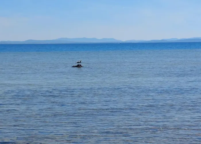Domy2017 Privlaka (Zadar)